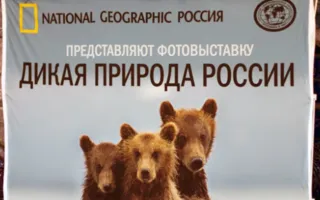 Фотовыставка «Дикая природа России — 2013» вновь в Севастополе
