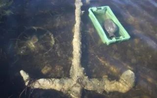 На берегу моря под Севастополем нашли три древних якоря (видео)