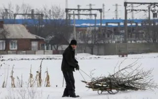 Альтернатива российскому газу: Украина переходит на «соломенное» биотопливо