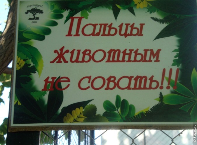 зооуголок Севастополь, новости Севастополь, зоопарки Севастополя