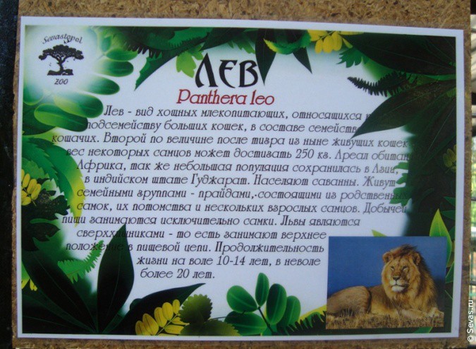 зооуголок Севастополь, новости Севастополь, зоопарки Севастополя