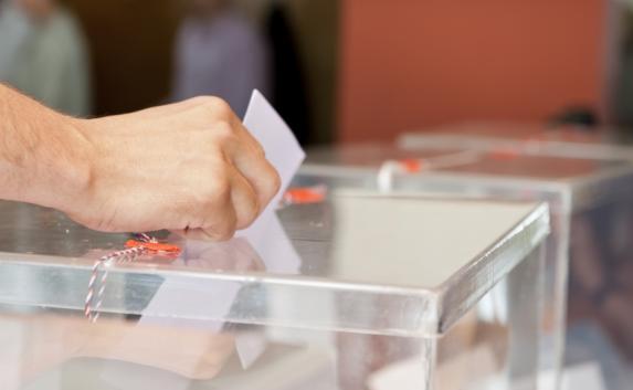 Явка на выборах губернатора Севастополя за два часа составила 5,6%