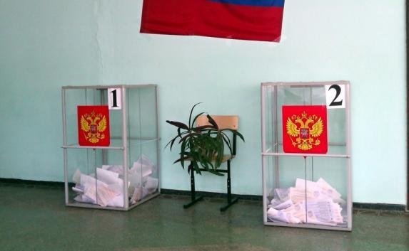 Эксперты из США и Евросоюза не нашли нарушений на выборах в России 