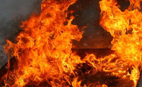 В Крыму пожарные спасли двух человек из огня