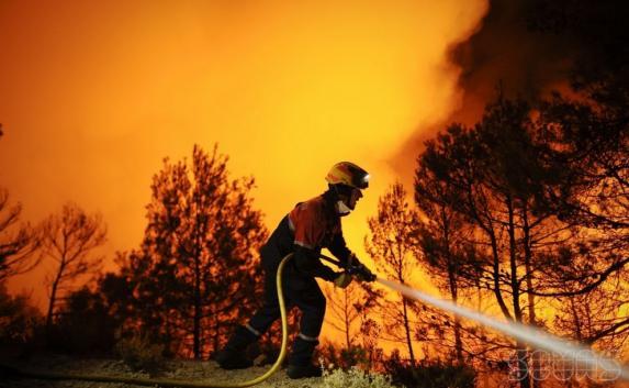 Пожароопасный Крым: сгорели автобусы и лес на склоне Мангуп-Кале 