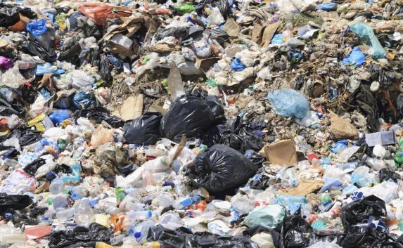 Аксёнов поручил ликвидировать свалку мусора в селе Табачное