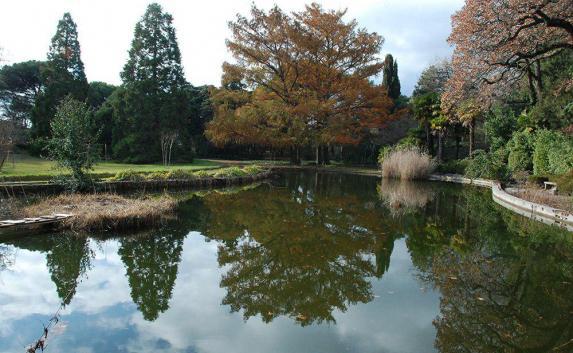 Парк Монтедор вскоре откроется в Никитском ботаническом саду