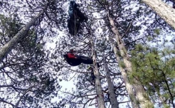 Неудачное приземление: парапланерист повис на дереве в Крыму (фото)