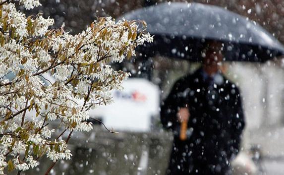 Оранжевый уровень опасности ввели в Симферополе из-за снега