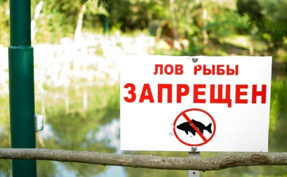 Рыбалка в Судаке под запретом: ограничения действуют с ноября по февраль