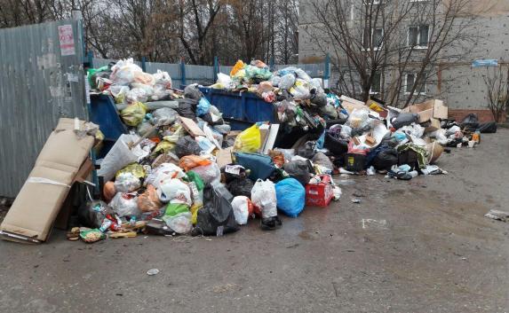 «Народные инспекторы» помогут бороться с мусором в Симферополе