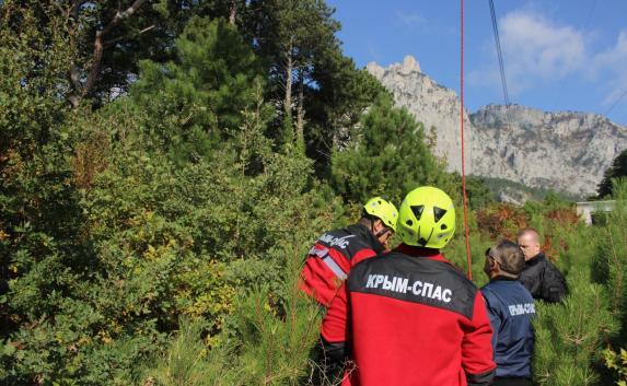 Сотрудники «Крым-спаса» нашли 8-летнего мальчика, пропавшего в лесу Бахчисарая 