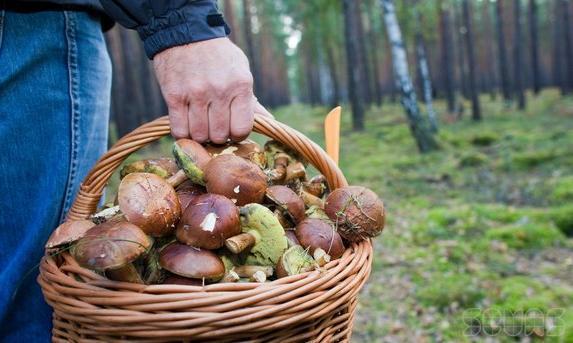 Пожилого грибника спасли в крымском лесу