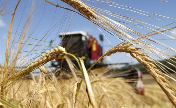 Крымские аграрии впервые экспортировали пшеницу за границу