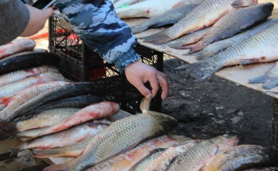 У ялтинских торговцев изъяли и уничтожили 110 килограммов рыбы (фото)