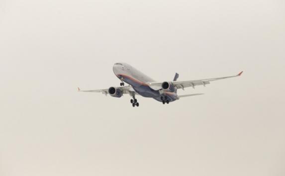 Пьяная крымчанка напала на стюардессу в самолёте «Москва— Симферополь» (видео)
