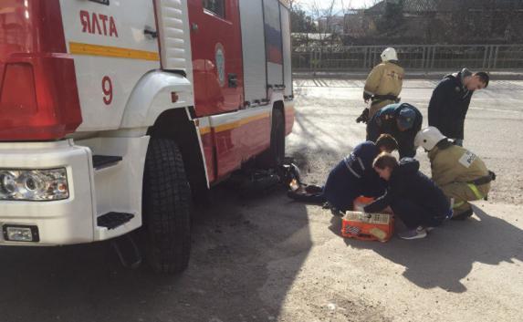 Водитель мопеда впал в кому после столкновения с машиной МЧС в Ялте