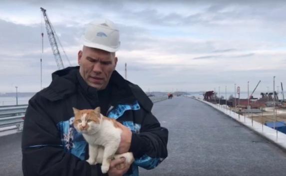Николай Валуев прокатил с «ветерком» кота Мостика по Крымскому мосту (фото)