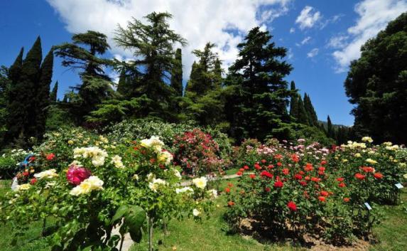 Студенты смогут бесплатно посетить Никитский ботанический сад 25 января