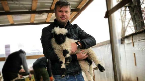 В бахчисарайском зоопарке родилась валлийская овечка Бусинка