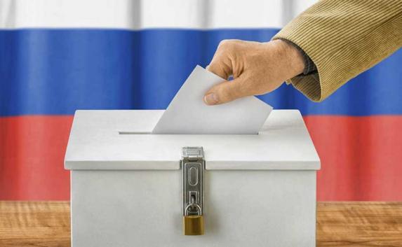 30 стран отправят наблюдателей на выборы в Россию
