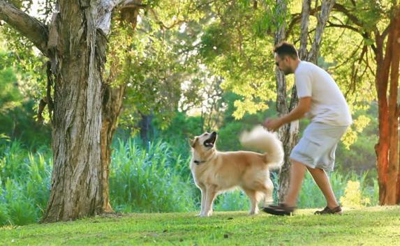 В парке Гагарина откроют единственную площадку для собак в Симферополе