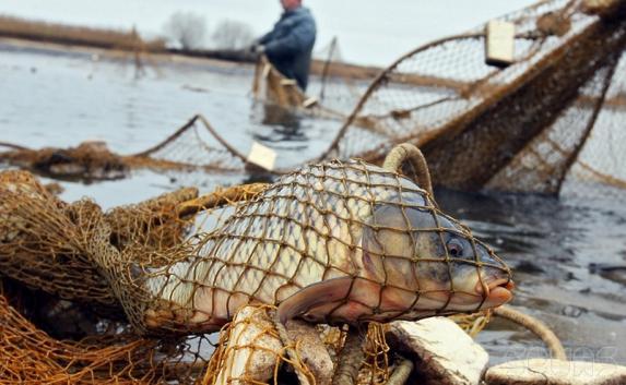 Керченскому браконьеру грозит крупный штраф за незаконную ночную рыбалку
