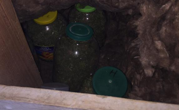 В Феодосии задержали любителя «мариновать» марихуану «на зиму»