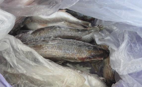 100 килограммов рыбы и сала «задержали» на границе с Украиной (фото)