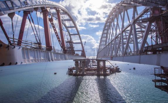 В зоне строительства Крымского моста обнаружили тихоокеанского моллюска