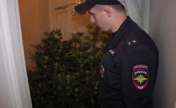 100 грамм «трын-травы» стоили крымчанину 10 лет тюрьмы
