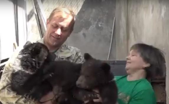В крымском «Тайгане» впервые родилась тройня медвежат (видео)