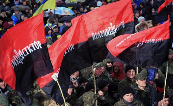 «Правый сектор» надеется вернуть Крым с помощью оружия США