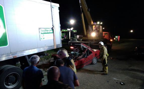В Аграрном легковушка залетела под грузовик — водитель погиб (фото)