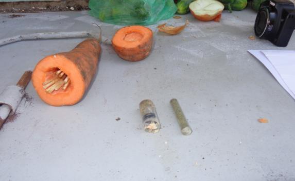 Полицейские поймали крымчанина с наркотиками в моркови (фото)