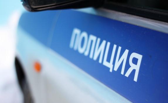 Крымские полицейские вернули домой школьницу-путешественницу