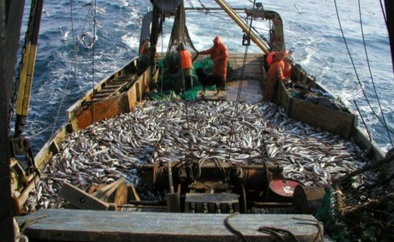 Правительство Севастополя увеличит поддержку  рыболовства на  9 миллионов рублей