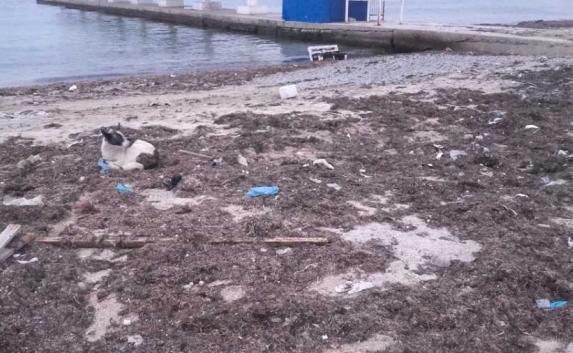 Крымчане возмущены ужасной работой операторов на пляжах в Балаклаве и Омеге (фото)