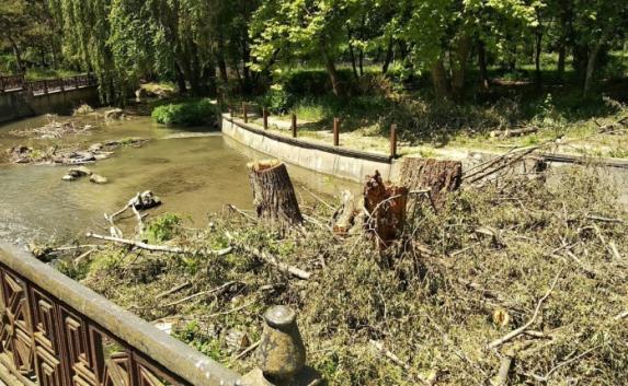 Набережная Салгира лишится 600 деревьев (фото)