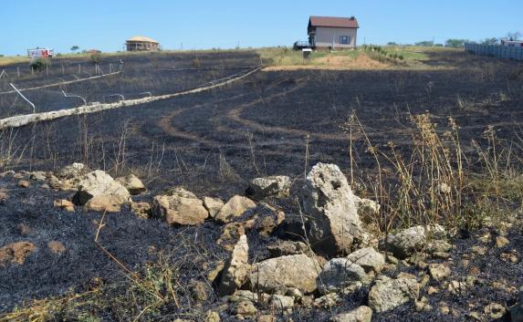 В Учкуевке сгорело лавандовое поле (видео, фото)