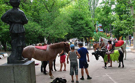 «Лошадиные аттракционы» в Севастополе незаконны