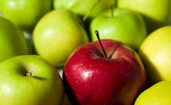 Польские яблоки мечтают попасть в Россию