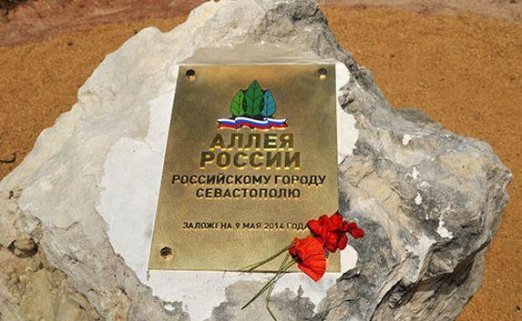 Севастополь выбирает зелёный символ для «Аллеи России» 