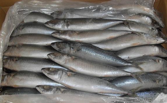 ​В Крым не пустили 70 тонн запрещённой рыбы
