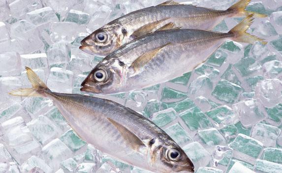 ​В Крым не пустили «украинскую» рыбу из Норвегии, Испании и США