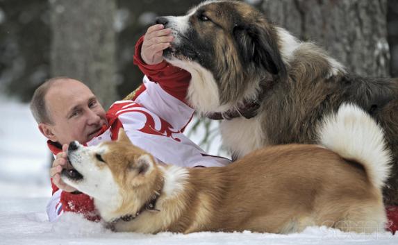 Путин отметит день рождения в тайге