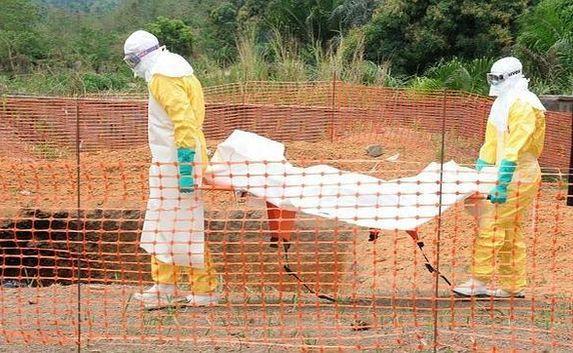 Вакцина от лихорадки Эбола успешно протестирована на животных