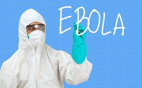 Вирус Эбола стремительно мутирует