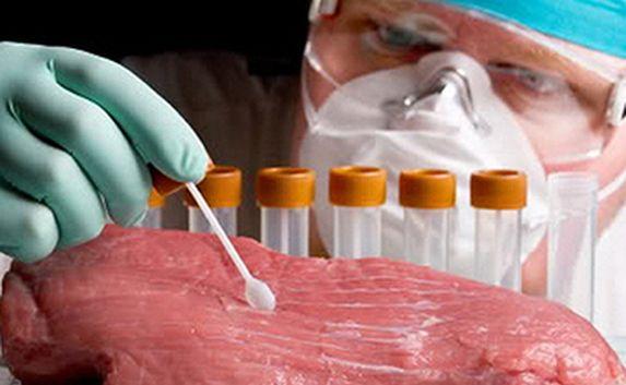В России запретили ввоз мяса из Евросоюза
