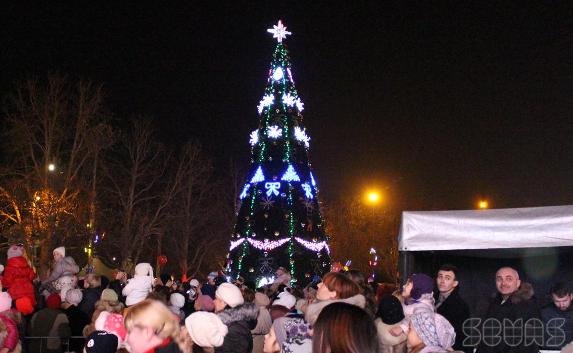 В Севастополе потеряли новогоднюю ёлку